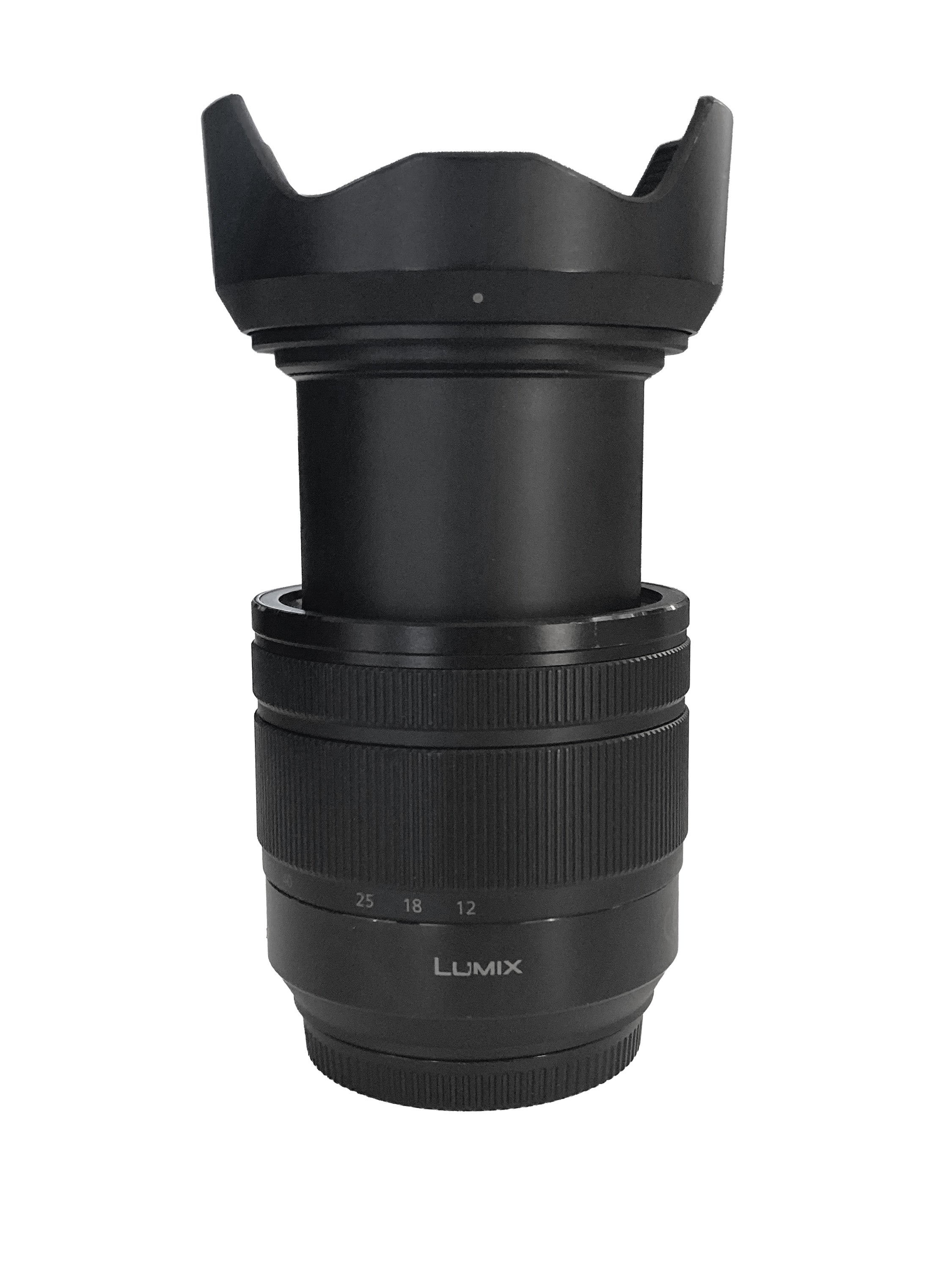 Panasonic Lumix G 12-60 mm f/3.5-5.6 OIS  Ottime Condizioni