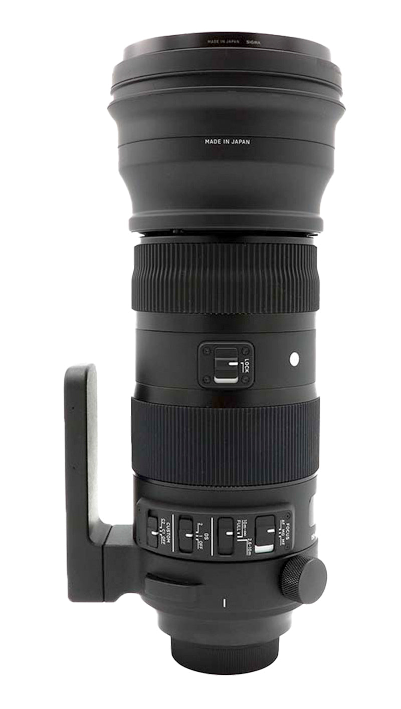 Sigma 150-600mm f/5-6.3 DG OS HSM Sports per Nikon usato + coperture mimetiche - Fratticioli Store