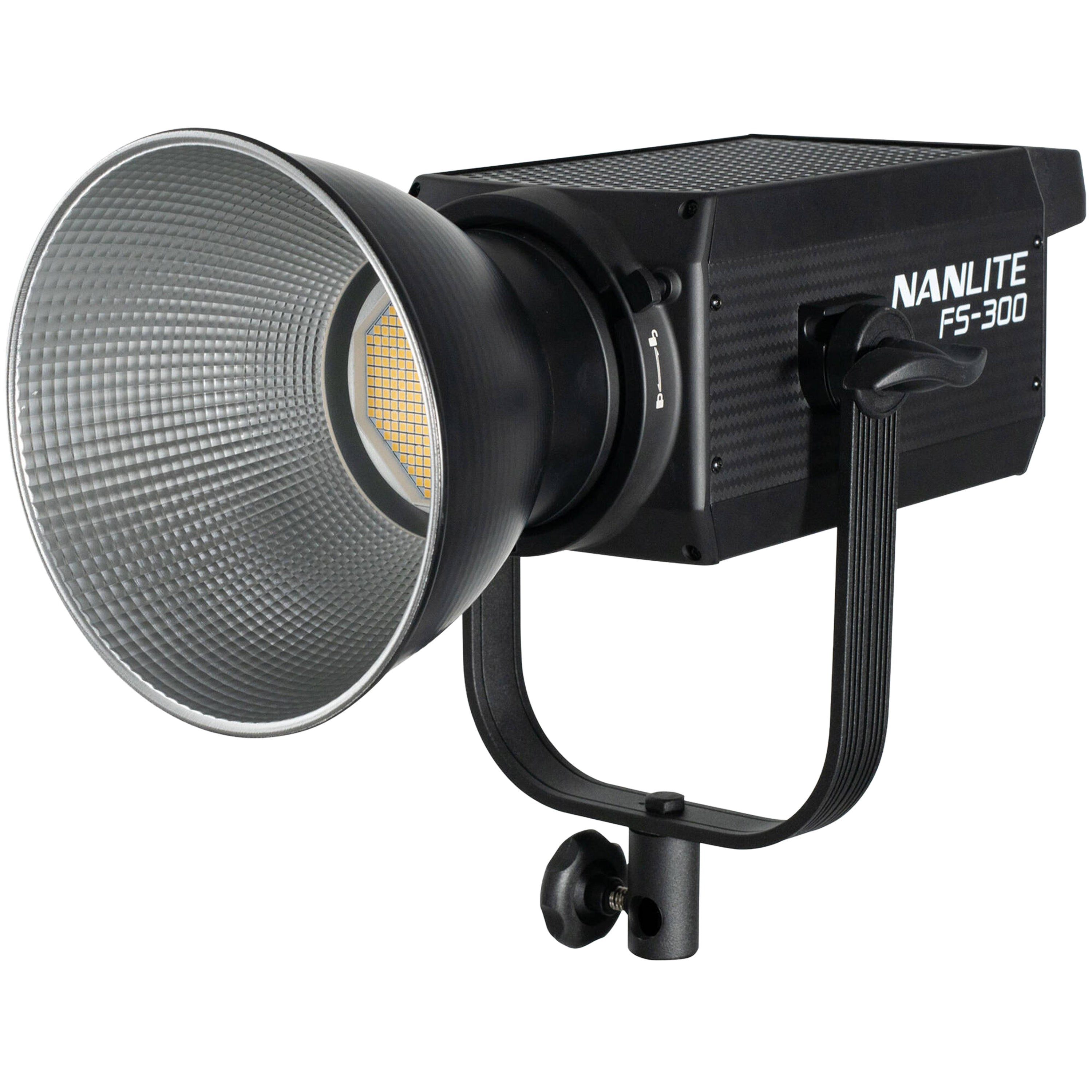 Nanlite FS-300 Daylight  Occasione